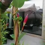 Precioso Vacaciones En Zona Ramallosa *
