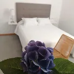 Precioso Vacaciones En Zona Ramallosa * بايونا