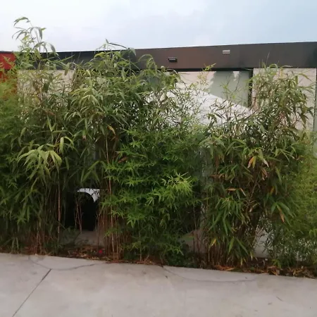 Precioso Vacaciones En Zona Ramallosa Apartamento *